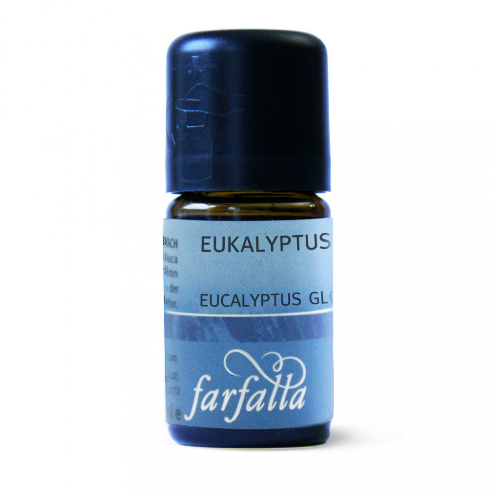 Farfalla Eukalyptus globulus