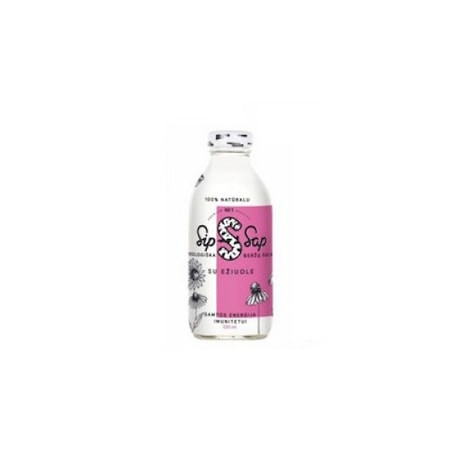 Sipsap bio nyírfavíz echinacea 330 ml